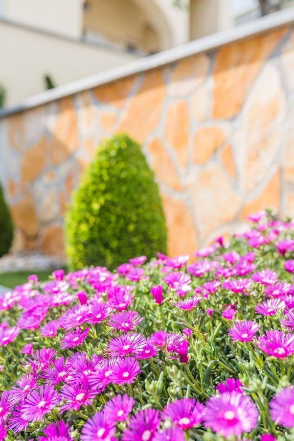 Apartment Carpe Diem Crikvenica Exterior foto
